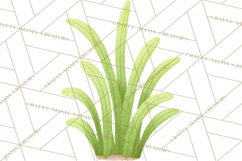 Fantasy Botanical Clipart PNG, Unique Whimsical Plant Art Product Image 4
