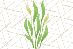 Fantasy Botanical Clipart PNG, Unique Whimsical Plant Art Product Image 5