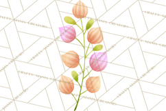 Fantasy Botanical Clipart PNG, Unique Whimsical Plant Art Product Image 3