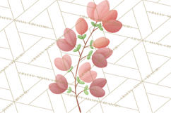 Fantasy Botanical Clipart PNG, Unique Whimsical Plant Art Product Image 5