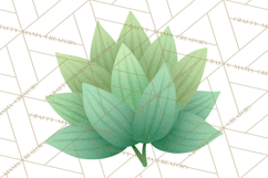 Fantasy Botanical Clipart PNG, Unique Whimsical Plant Art Product Image 4