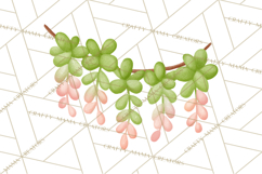 Fantasy Botanical Clipart PNG, Unique Whimsical Plant Art Product Image 5