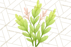 Fantasy Botanical Clipart PNG, Unique Whimsical Plant Art Product Image 4