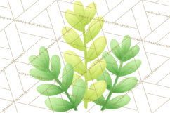 Fantasy Botanical Clipart PNG, Unique Whimsical Plant Art Product Image 5