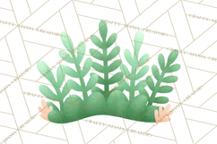 Fantasy Botanical Clipart PNG, Unique Whimsical Plant Art Product Image 3