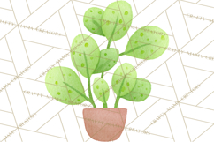 Fantasy Botanical Clipart PNG, Unique Whimsical Plant Art Product Image 3