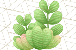 Fantasy Botanical Clipart PNG, Unique Whimsical Plant Art Product Image 4