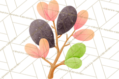 Fantasy Botanical Clipart PNG, Unique Whimsical Plant Art Product Image 5