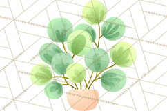 Fantasy Botanical Clipart PNG, Unique Whimsical Plant Art Product Image 3