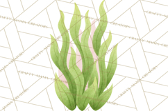 Fantasy Botanical Clipart PNG, Unique Whimsical Plant Art Product Image 2