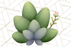 Fantasy Botanical Clipart PNG, Unique Whimsical Plant Art Product Image 3