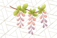 Fantasy Botanical Clipart PNG, Unique Whimsical Plant Art Product Image 5