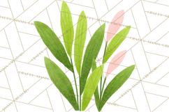 Fantasy Botanical Clipart PNG, Unique Whimsical Plant Art Product Image 5