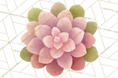 Fantasy Botanical Clipart PNG, Unique Whimsical Plant Art Product Image 2