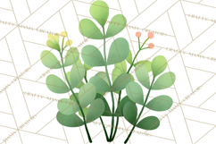 Fantasy Botanical Clipart PNG, Unique Whimsical Plant Art Product Image 3