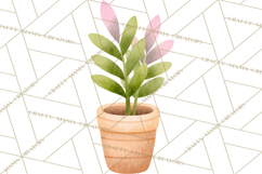 Fantasy Botanical Clipart PNG, Unique Whimsical Plant Art Product Image 3