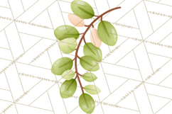 Fantasy Botanical Clipart PNG, Unique Whimsical Plant Art Product Image 4