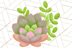 Fantasy Botanical Clipart PNG, Unique Whimsical Plant Art Product Image 2
