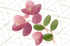 Fantasy Botanical Clipart PNG, Unique Whimsical Plant Art Product Image 2