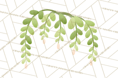 Fantasy Botanical Clipart PNG, Unique Whimsical Plant Art Product Image 4