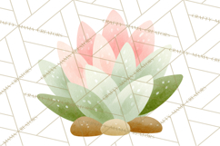 Fantasy Botanical Clipart PNG, Unique Whimsical Plant Art Product Image 4