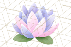 Fantasy Botanical Clipart PNG, Unique Whimsical Plant Art Product Image 5