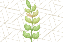 Fantasy Botanical Clipart PNG, Unique Whimsical Plant Art Product Image 2