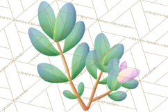 Fantasy Botanical Clipart PNG, Unique Whimsical Plant Art Product Image 2