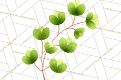 Fantasy Botanical Clipart PNG, Unique Whimsical Plant Art Product Image 3