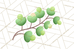 Fantasy Botanical Clipart PNG, Unique Whimsical Plant Art Product Image 4