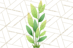 Fantasy Botanical Clipart PNG, Unique Whimsical Plant Art Product Image 5