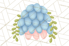 Fantasy Botanical Clipart PNG, Unique Whimsical Plant Art Product Image 2