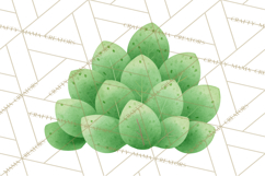 Fantasy Botanical Clipart PNG, Unique Whimsical Plant Art Product Image 4