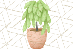 Fantasy Botanical Clipart PNG, Unique Whimsical Plant Art Product Image 5