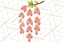 Fantasy Botanical Clipart PNG, Unique Whimsical Plant Art Product Image 2