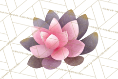 Fantasy Botanical Clipart PNG, Unique Whimsical Plant Art Product Image 3