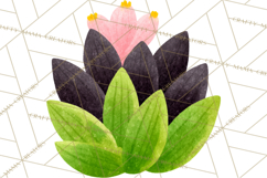 Fantasy Botanical Clipart PNG, Unique Whimsical Plant Art Product Image 5