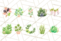 Fantasy Botanical Clipart PNG, Unique Whimsical Plant Art Product Image 5