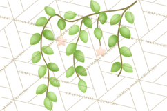 Fantasy Botanical Clipart PNG, Unique Whimsical Plant Art Product Image 5