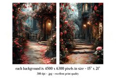 Fantasy Digital Backgrounds, Fantasy Front Door and Roses 3 Product Image 2