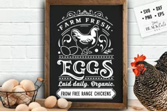 Farm fresh eggs SVG, Farmhouse chicken svg, Chicken svg Product Image 2