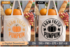 Farm Fresh Pumpkin SVG File | Fall Round Sign SVG Product Image 4