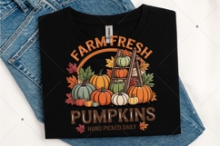 Farm Fresh Pumpkins PNG, Coquette Pumpkin Png, Coquette Fall Product Image 4
