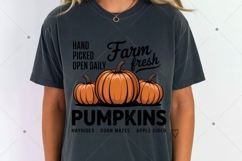 Fall Farm Fresh Pumpkins PNG Product Image 3