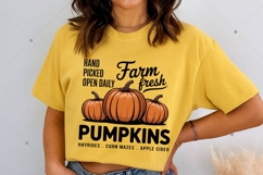 Fall Farm Fresh Pumpkins PNG Product Image 4
