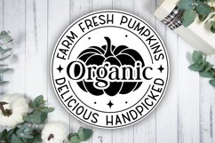 Farm fresh pumpkins organic delicious handpicked Sign SVG Product Image 3