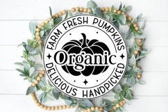 Farm fresh pumpkins organic delicious handpicked Sign SVG Product Image 2
