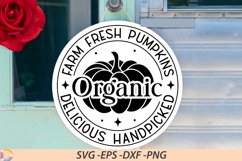 Farm fresh pumpkins organic delicious handpicked Sign SVG Product Image 1