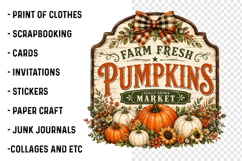 Farm Fresh Pumpkins PNG Product Image 3