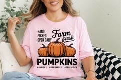 Fall Farm Fresh Pumpkins PNG Product Image 6
